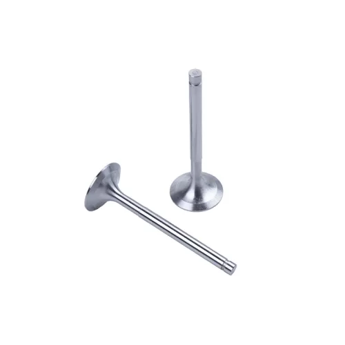 ENGINE VALVES